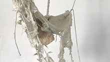 20190424-0503_yasminekasem_220x124.jpg