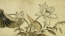 drawing of flowers