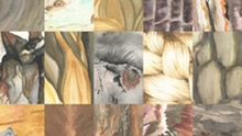 Image of book cover