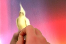video still with hands, parakeet and colorful background