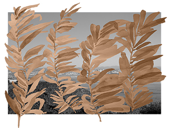 Horizon Seaweed, Joe Riley and Audrey Snyder, watercolor and digital collage, 2022.