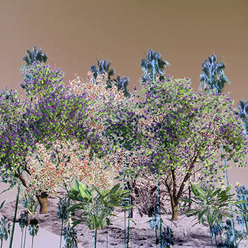 Nico King, “Balboa Park (Post-Oasis, v.1),” 2021-22. Digital Collage.