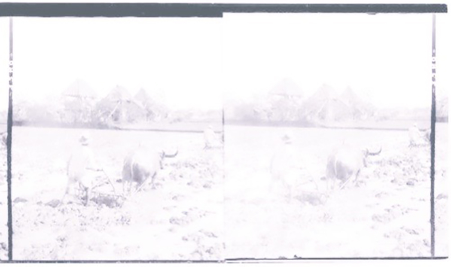 faded black and white photo of a person working in a field